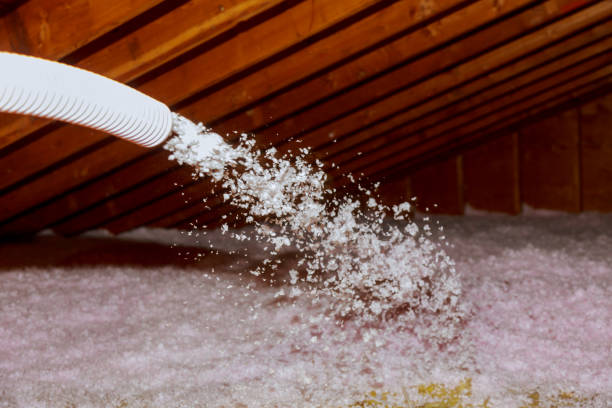 Best Spray Foam Insulation  in Braddock Hills, PA