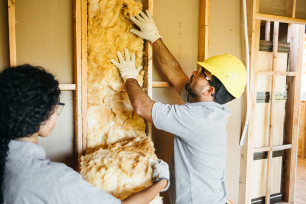 Best Professional Insulation Contractor  in Braddock Hills, PA