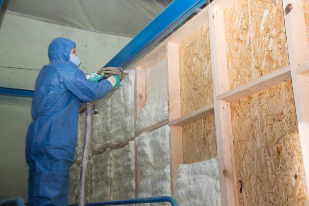 Best Insulation Repair Services  in Braddock Hills, PA